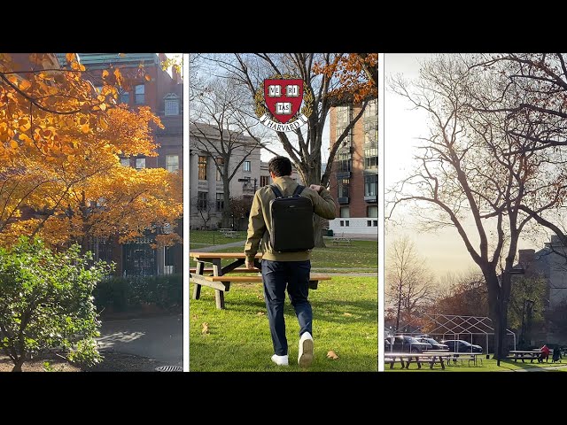 Harvard Vlog | Memories and Nostalgia