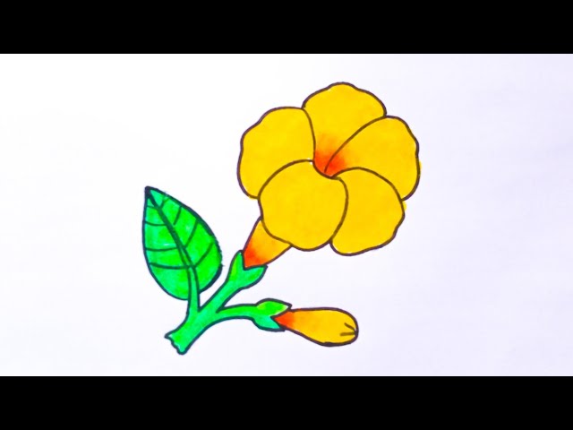 How To Draw Kolke Flower Step By Step (Easy)