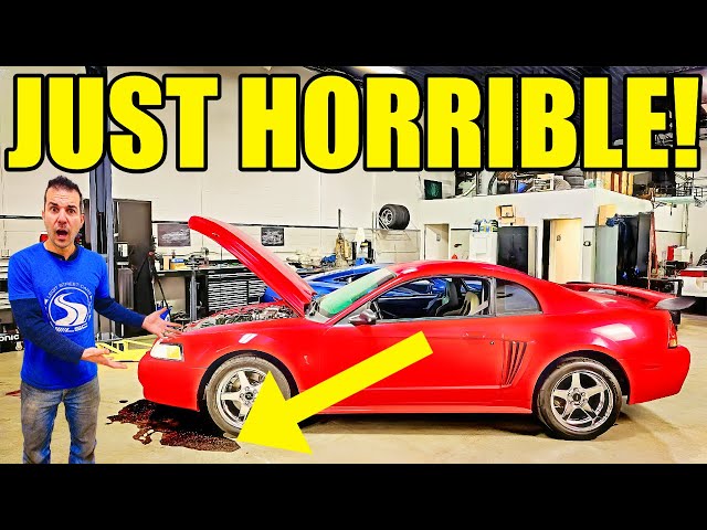 You've NEVER Seen This! My Cobra Engine Ate A Piece Of METAL & Spilled It's Guts!
