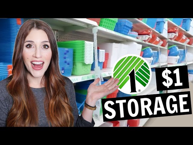 The Best Dollar Tree Organization Items | $1 Storage