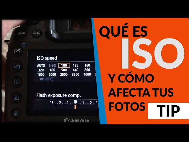 EXPOSICIÓN 1 de 3: Qué es el ISO y como afecta tus fotos