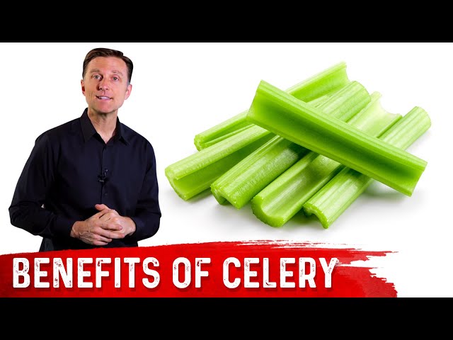 Top 11 Health Benefits of CELERY – Dr. Berg