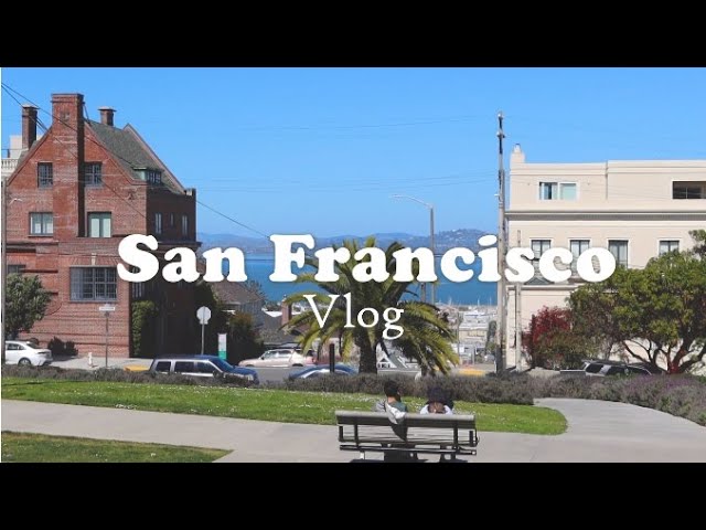 샌프란시스코 일상 | SF vlog |  비파티세리, 엉터리 꽃꽂이, 골든게이트공원 산책하고 오후내내 짐정리한 일상 #비파티세리 #샌프란일상 #미국일상 #캘리일상