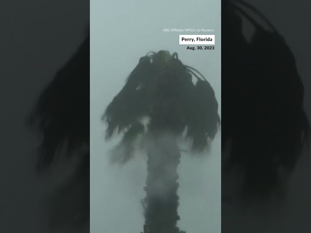 Hurricane Idalia hits Florida coast
