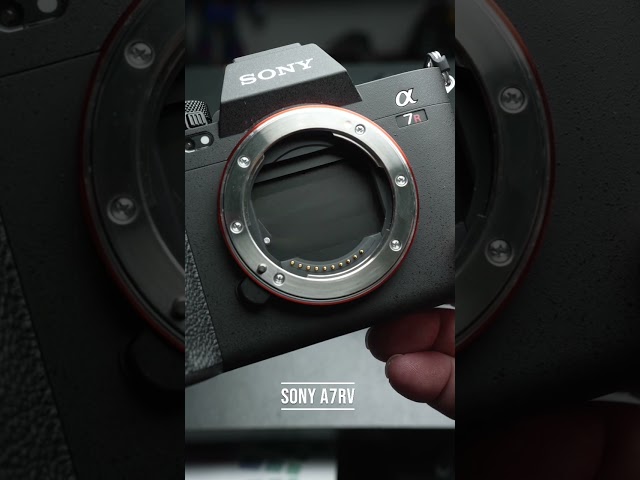 Sony A7RIV vs A7RV shutter sound comparison