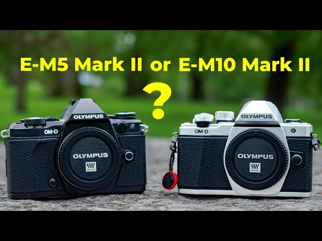 Olympus E-M5 Mark II or E-M10 Mark II - Which is BETTER?
