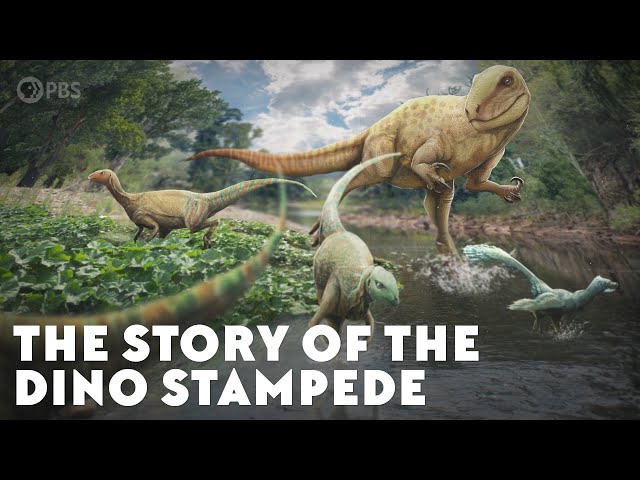 The Story of the Dino Stampede