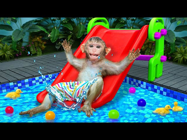 KiKi Monkey has fun at the Water Park and play with Waterslides | KUDO ANIMAL KIKI