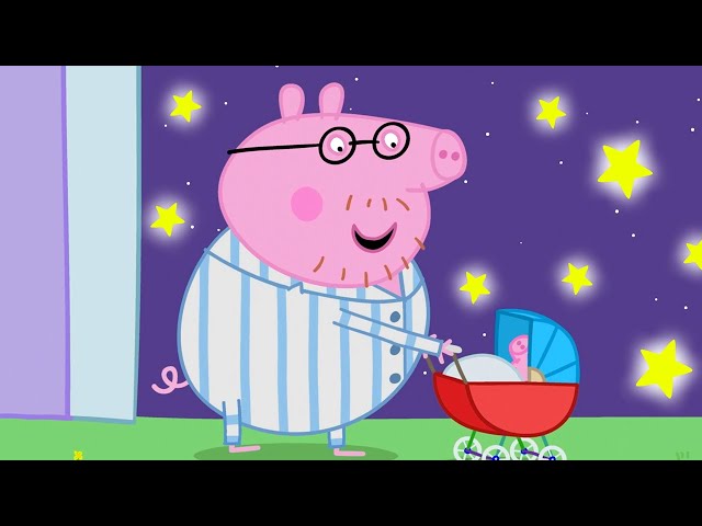 Daddy Pig and the Baby Pig | Family Kids Cartoon