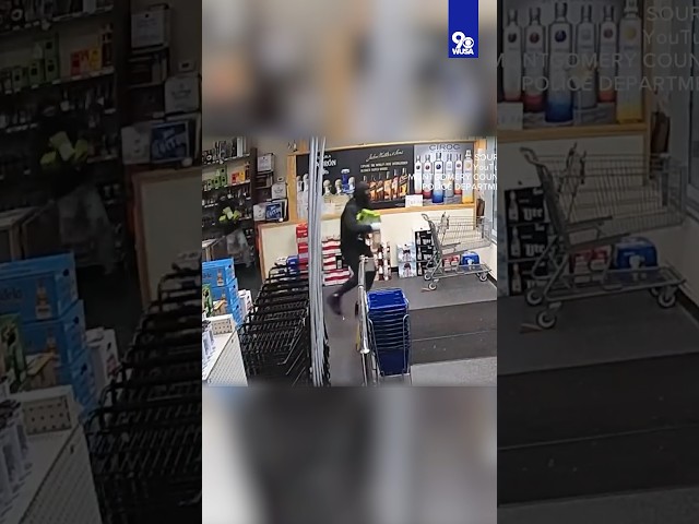 Video of liquor store being robbed in Maryland