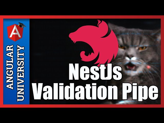💥 NestJs Data Validation with ValidationPipe