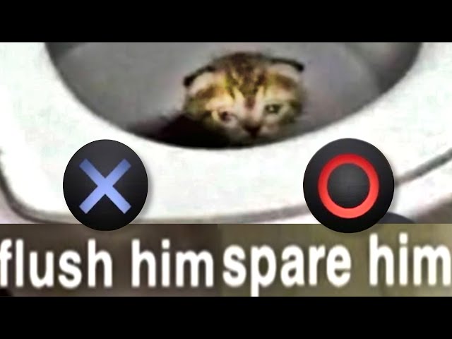 memes that made me flush the cat