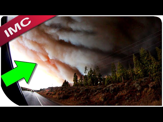 Unbelievable Videos We Warned You NOT To Watch