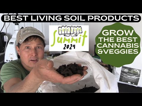 Best Products for Organic Gardening