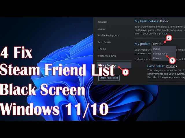 Steam Friend List Black Screen in Windows 11 - 4 Fix