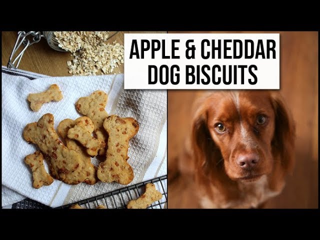 Easy & Healthy Apple & Cheddar Dog Biscuit Recipe | xameliax