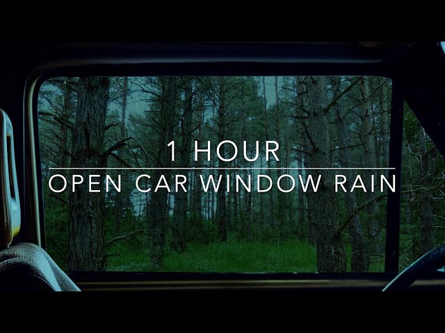Open Car Window Rain - Rain On Car - Forest Rain - 1 hour Rain Sounds for Sleeping