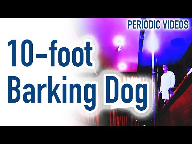 10-foot Barking Dog - Periodic Table of Videos