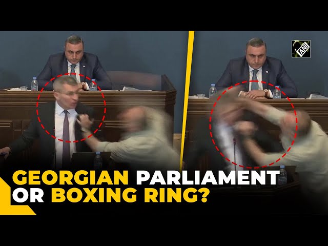 Georgian Parliament turns into boxing ring; lawmakers’ brutal fist fighting caught on camera