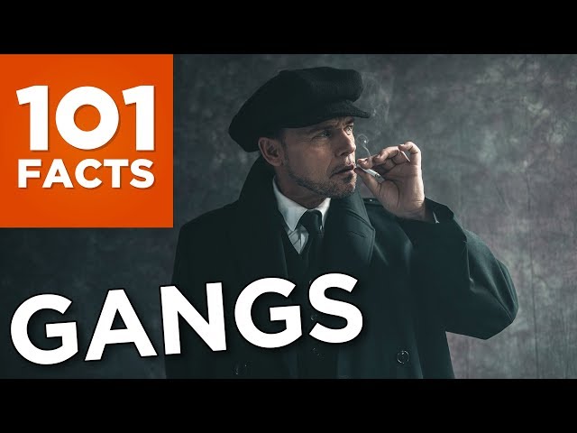 101 Facts About Gangs