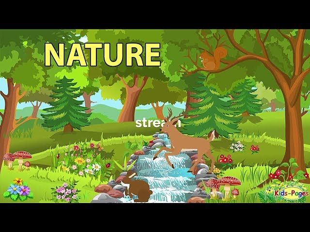 Nature Vocabulary and Facts