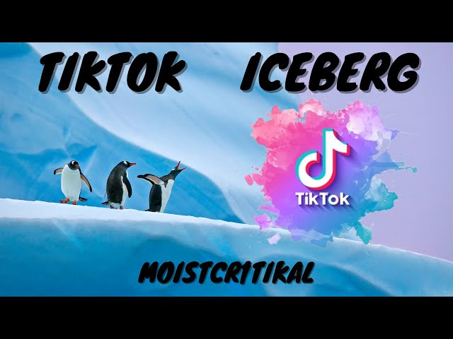 Tiktok Iceberg - Moistcr1tikal