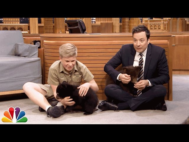 Robert Irwin and Jimmy Play with Baby Black Bears