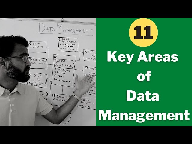 What are the 11 key areas of Data Management and specific data roles?