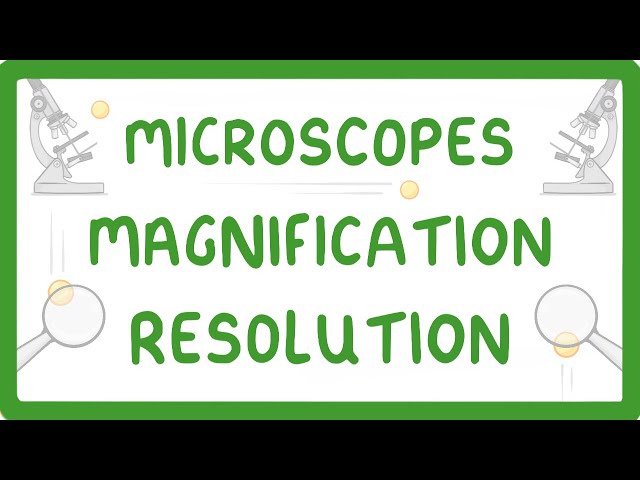 GCSE Biology - What is Microscopy? #5