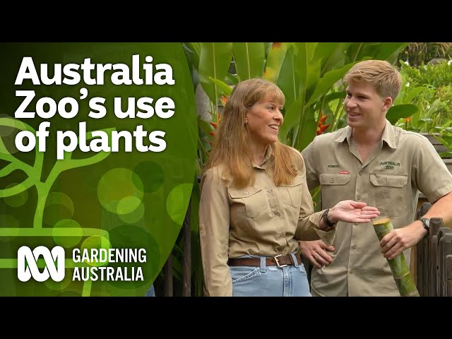Terri and Robert Irwin explain why plants are essential to Australia Zoo | Gardening Australia