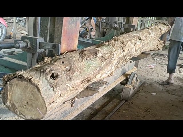 sawing waste teak wood to make big profits