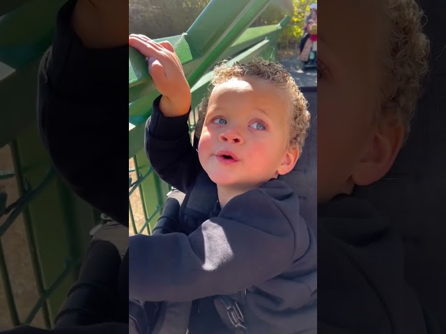 CEO of woahhh 😆🥹🐢❤️ #reactionvideo #toddlers #babyboy #zoo #cute #adorable #family
