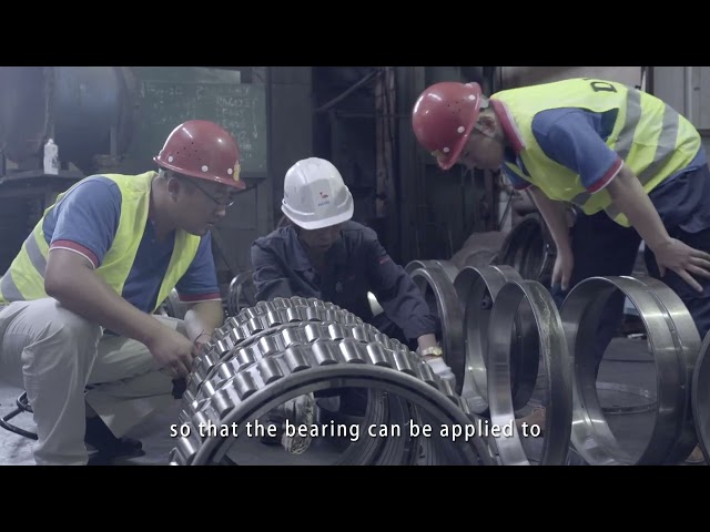 Dalian Metallurgical Bearing Co., Ltd.  DYZV bearing