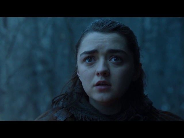 Arya and Nymeria Reunion in 'Stormborn' Explained