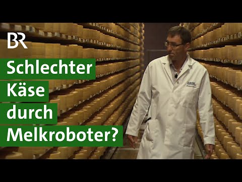 Schlechter Schweizer Käse durch Melkroboter im Kuhstall? | Milchkuh Doku | Unser Land | BR