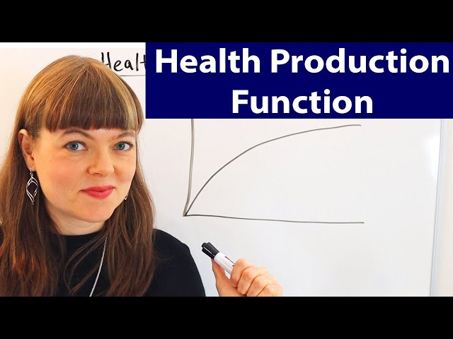 Health Care Production Function