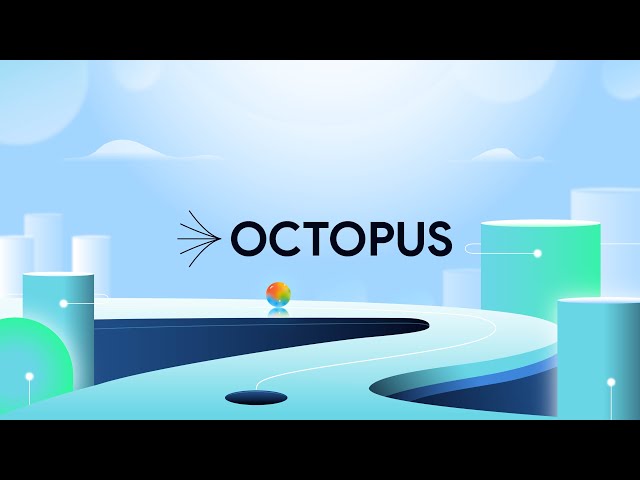 Premium SaaS Product Video Example |Octopus Cloud