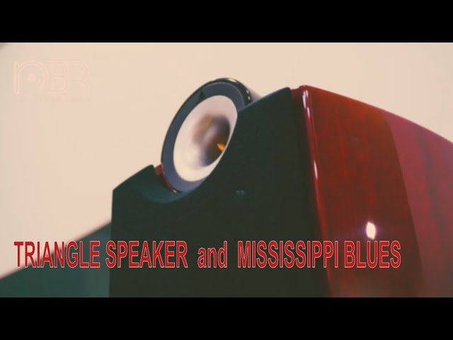 Greatest Voices for Everyday - Mississippi Blues with Triangle Speaker - Natural Beat Record