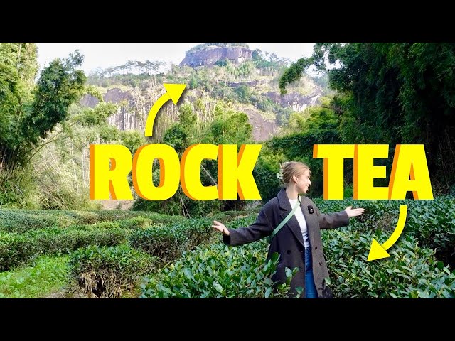 World's most EXPENSIVE tea & made with the help of ROCKS?