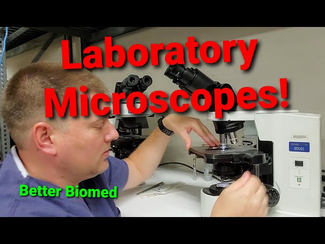 Laboratory Microscopes!