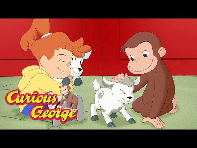 Learning About Animals with George 🐵 Curious George 🐵 Kids Cartoon 🐵 Kids Movies