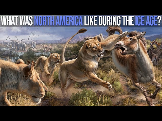 What Was North America Like During The Ice Age?