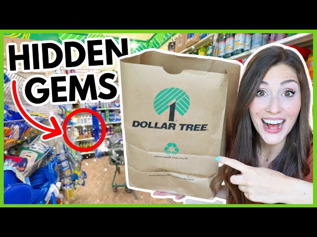DOLLAR TREE PRODUCTS YOU *NEED* TO KNOW | Hidden Gems of 2022
