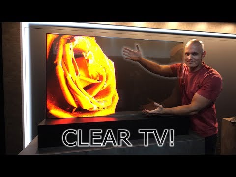 I found a Transparent TV! - How does it work?! OLED vs LCD