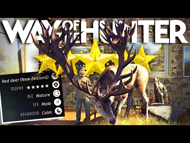 The Most INCREDIBLE Red Deer I've EVER SEEN! 5 STAR New Zealand Red Deer! | Way of the Hunter