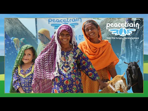 Peace Train Charity