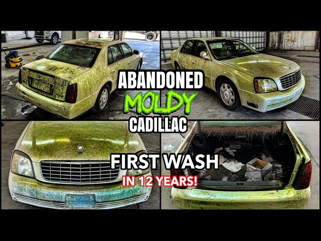 Deep Cleaning The MOLDIEST ABANDONED Cadillac Ever | Insane Disaster Car Detailing Transformation!