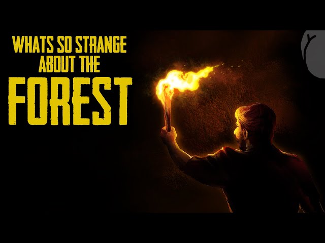 What's so strange about The Forest? (2014)