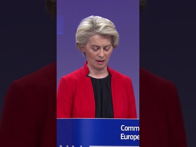 EU Transparency Register at European Commission! Von der Leyen debates!