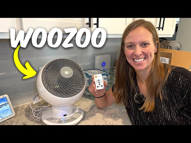Woozoo Oscillating Fan Review- Quiet & Powerful! updated